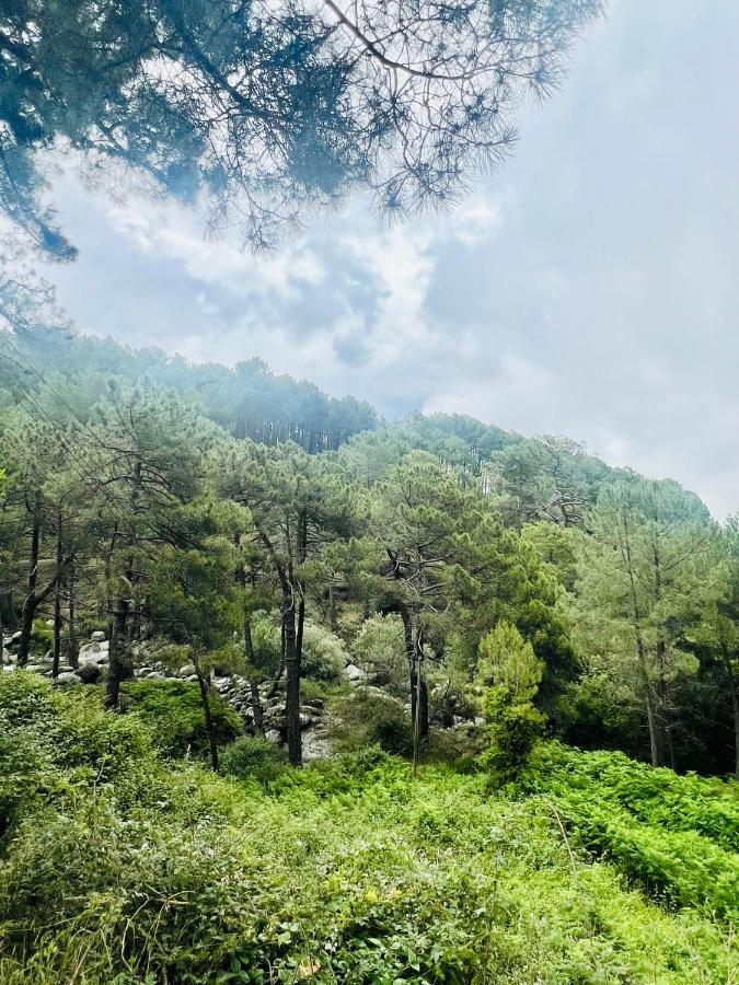 El Latido Del Tietar Villa Lanzahita Bagian luar foto